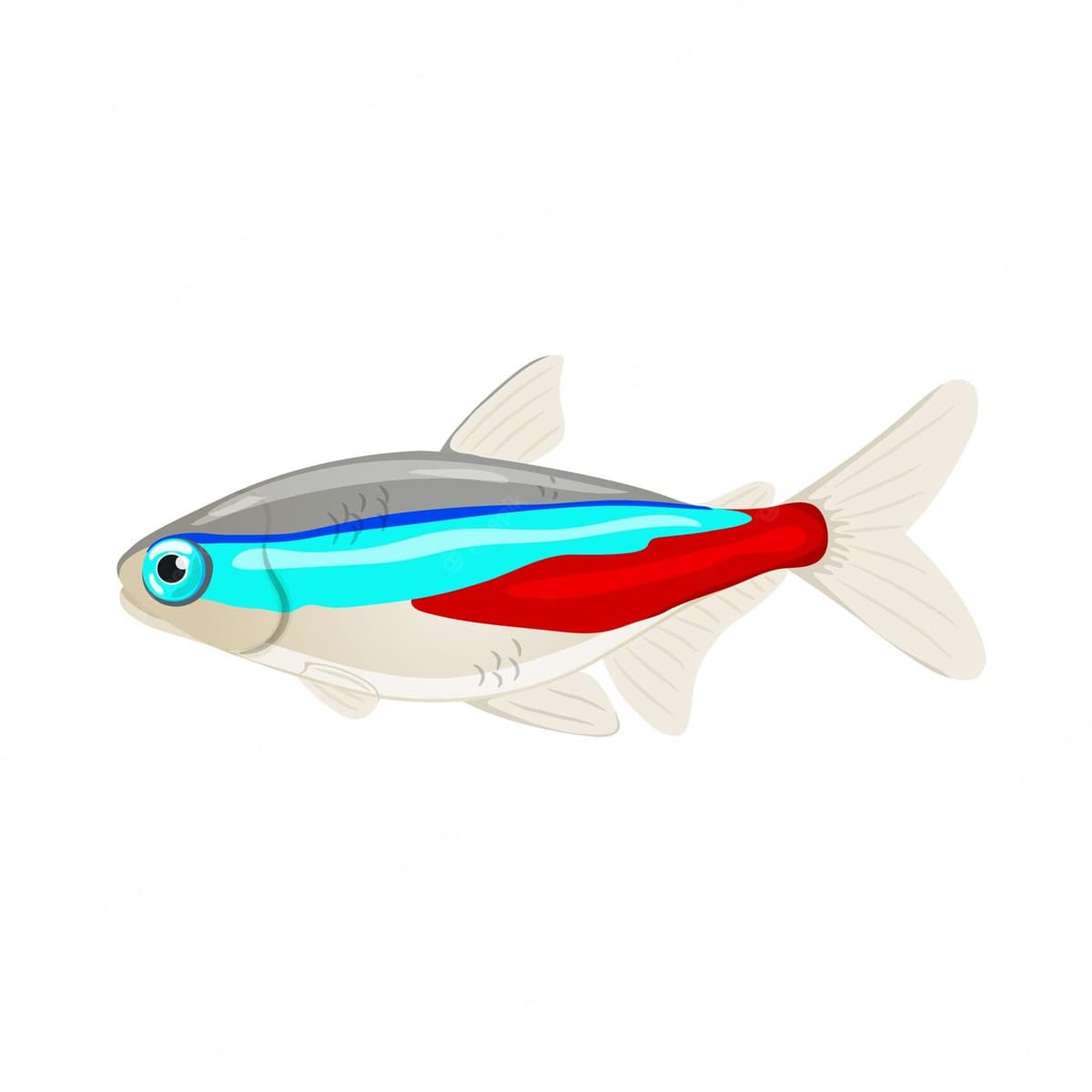 Missing fish image